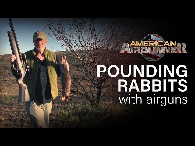 Pounding Rabbits with a .22 Cal AIRGUN