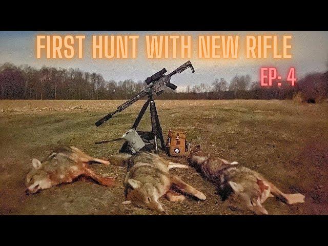 Thermal Coyote Hunting Fresh Ground with 243 and Pulsar Trail