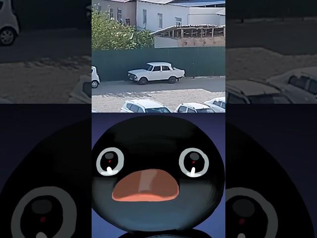 not not meme, Hyundai Москвич, #notnot #penguin #car #cars #viral #tiktok #top #best #video #memes