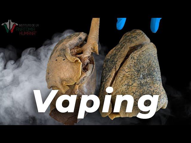 Lo que el VAPING le hace a TU CUERPO