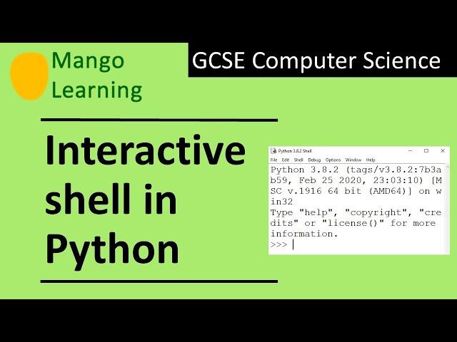 Interactive Shell in Python