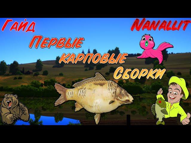 Russian Fishing 4, Первые карповые сборки. Как начать карповую ловлю. Первый Фидер на карпа.