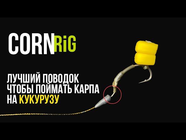 ЛОВЛЯ КАРПА на КУКУРУЗУ! Самый ЛУЧШИЙ ПОВОДОК! - Corn RIG!