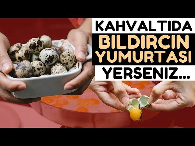 Bıldırcın Yumurtasının Bilmediğiniz 11 Faydası | Bıldırcın Yumurtasının Faydaları Nelerdir?