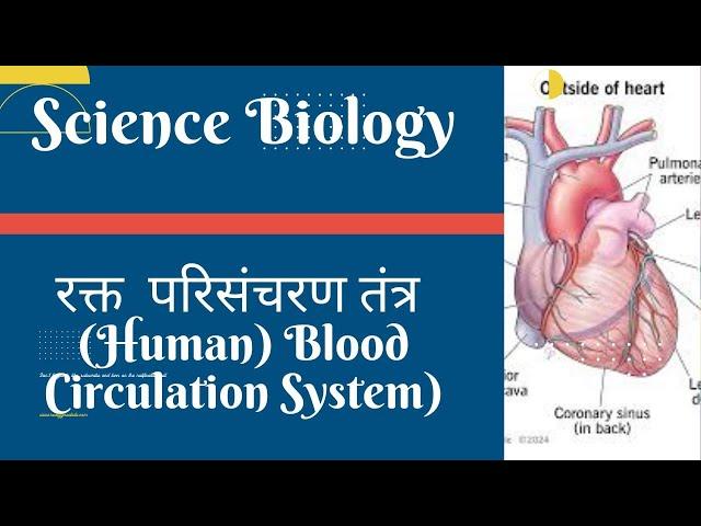 रक्त परिसंचरण तंत्र (Blood Circulation System) (Biology) #ras #rpsc #ias #upsc #science #uppsc #cet