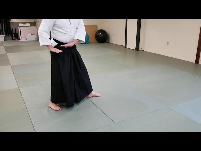 Irimi Tenkan -- Basic Foot Work