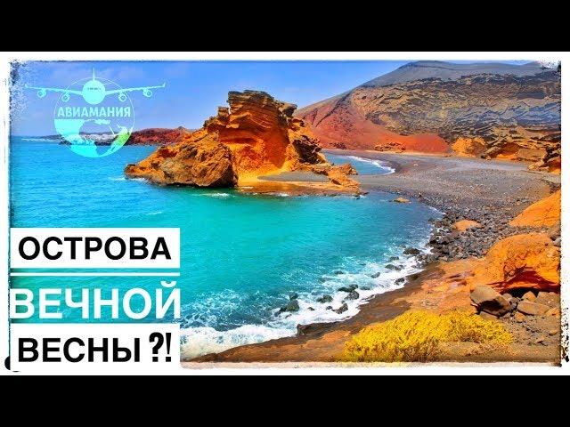 Канарские острова погода видео: Лансароте, Тенерифе, Гран-Канария - лайфхак от #Авиамания