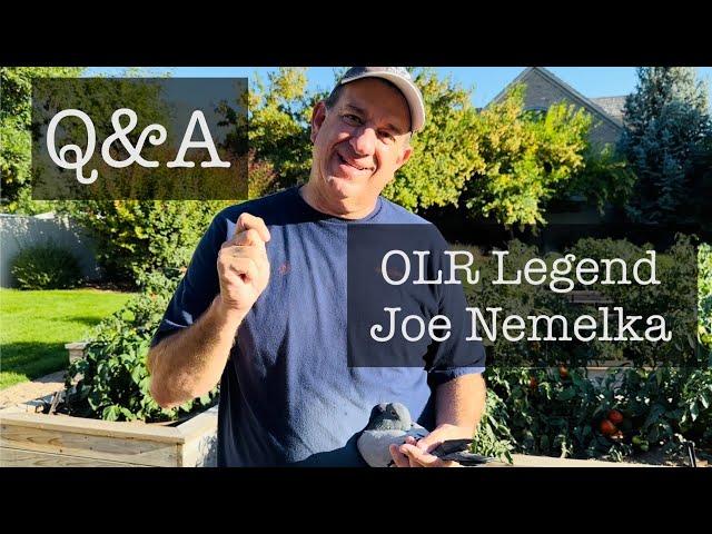 Q&A loft visit with Nemelka Racing Pigeon Loft (NRPL): OLR master breeder