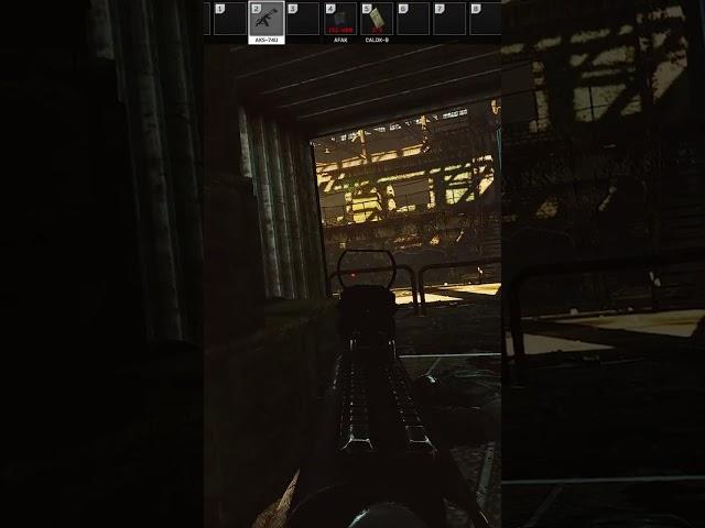 tarkov Omg short