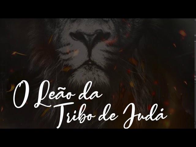 Ilmar Quintanilha | O Leão da tribo de Judá | Áudio Oficial