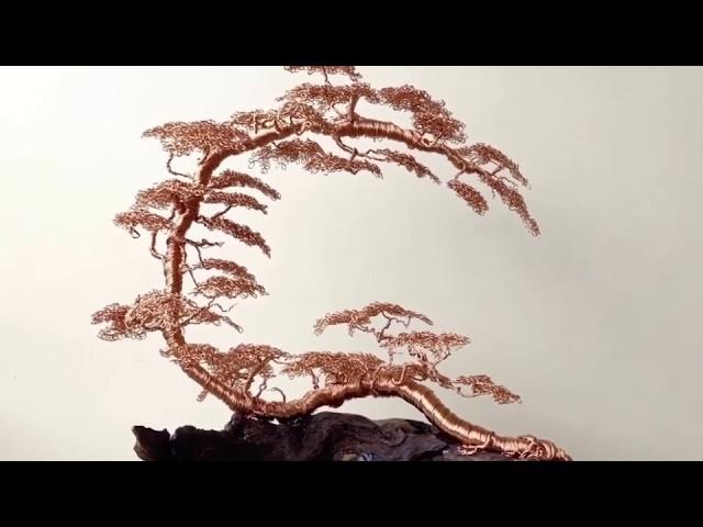 SPECIAL BONSAI | DIY | WIRE TREE | DRAHTBAUM | SINGHSWOOD