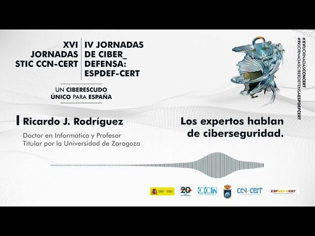 Ricardo J. Rodríguez (Doctor en Informática y Profesor Titular por la Universidad de Zaragoza)