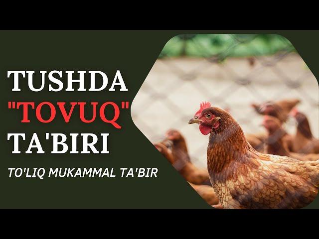 TUSHDA TOVUQ TABIRI | TUSHDA TOVUQ KO'RSA NIMA BO'LADI..!