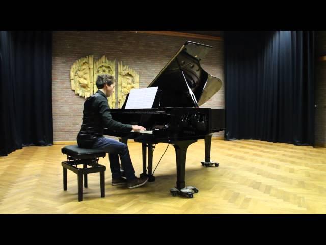 Michiel De Wit - Chopin Nocturne (Posthumus)