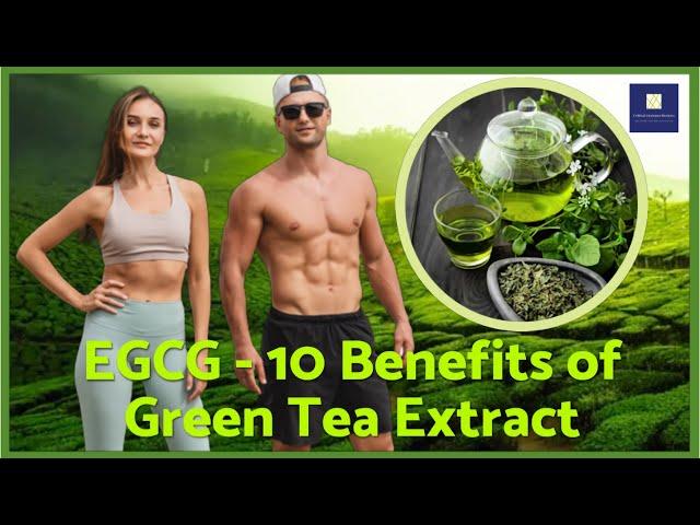 EGCG - 10 Benefits of Green Tea Extract