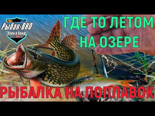 ЛОВЛЯ ОКУНЯ и ЩУКА на ПОПЛАВОК ЛЕТОМ 2024.РЫБАЛКА на ЖИВЦА  ПОПЛАВОК УДОЧКОЙ.FISHING for LIVE BAIT.