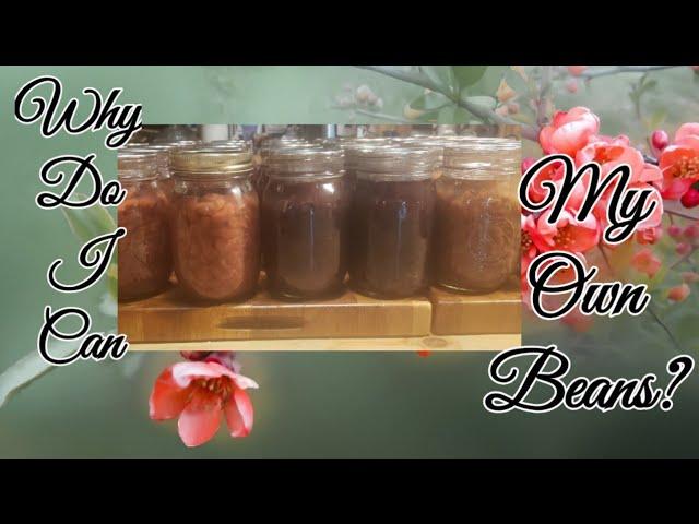 Why I can My Dry Beans// The canning Process