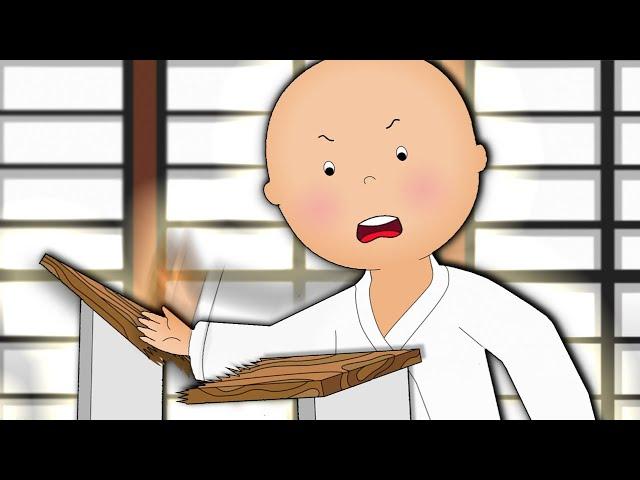Karate Kid | Caillou Cartoon