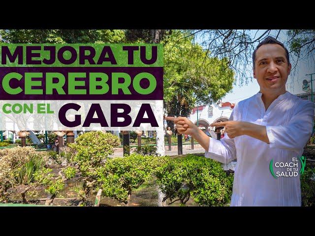 El GABA (neurotransmisor) y su relación con el cerebro