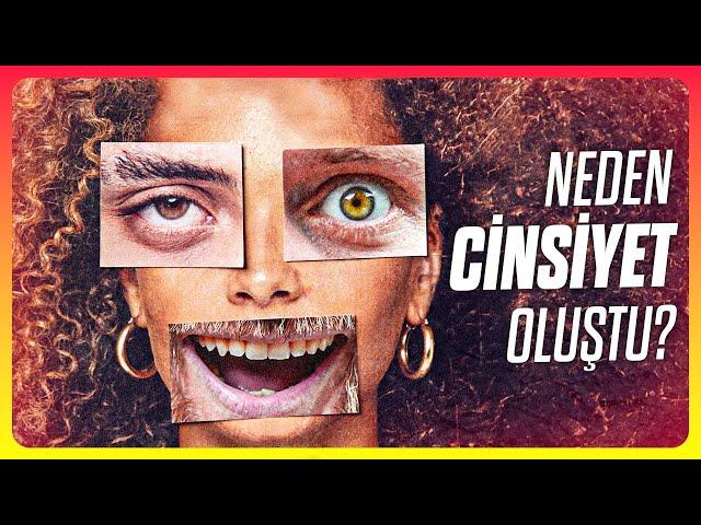 Cinsiyetlerin Evrimi: Neden Cinsiyetler Var?