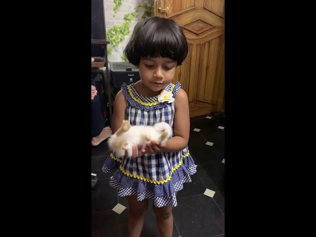 Nithya playing with rabbit...