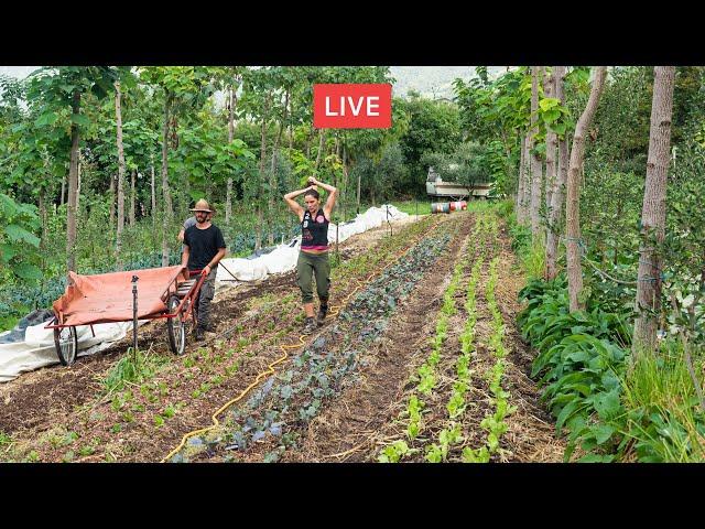 AGRICOLTURA RIGENERATIVA e AGROFORESTAZIONE. Con Matteo Mazzola 