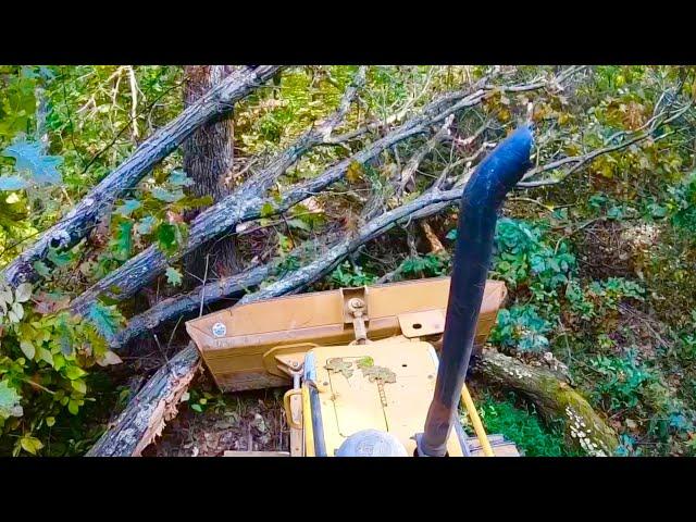 Clearing Old Logging Roads with Caterpillar D4 Bulldozer