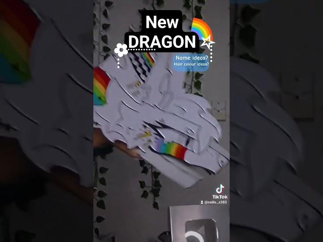 New Tik Tok acc‼️ #paperdragon #dragonpuppet #art #tiktok #rainbow