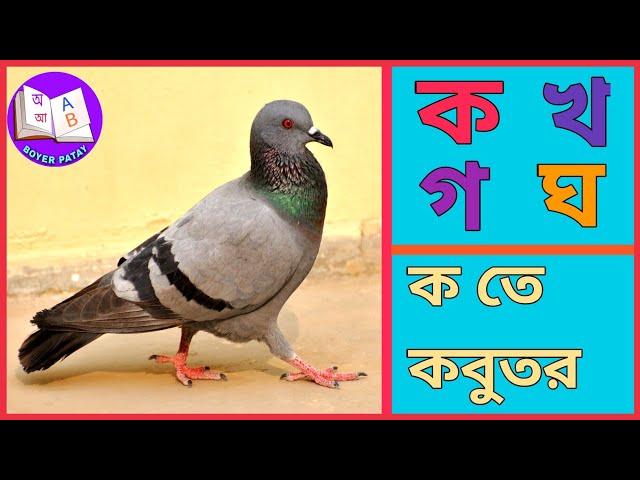 বাংলা বর্ণমালা | ক খ গ ঘ | Bengali Alphabets | Bangla Banjonborno