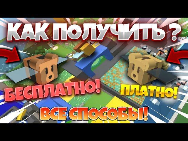 ВСЕ СПОСОБЫ ПОЛУЧЕНИЯ BEAR BEE ИЗ ДОНАТА В BEE SWARM SIMULATOR! КАК ПОЛУЧИТЬ БЕСПЛАТНО КОД В БСС!