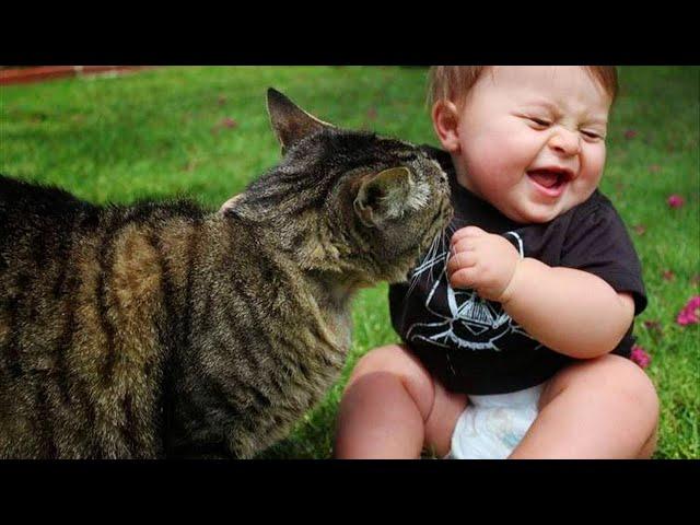 CATS and BABIES Awesome Friendship!