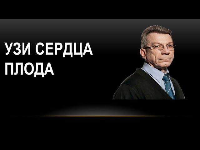 Ультразвуковое исследование сердца плода