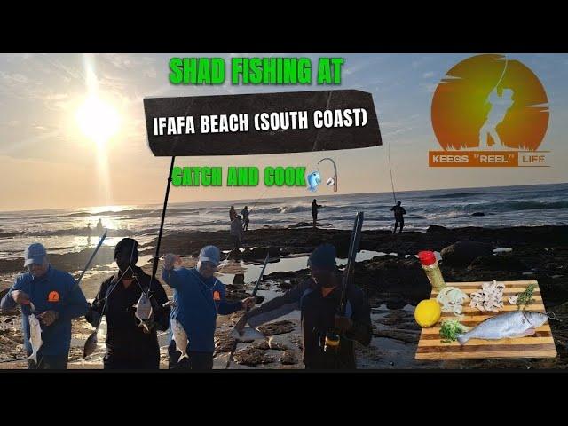 #Fishing Durban #Ifafa Beach(South Coast)/Fishing for #Shad #Bluefish #blacktail ....Catch and Cook