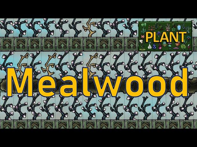 Oxygen Not Included - Plant Tutorial Bites - Mealwood