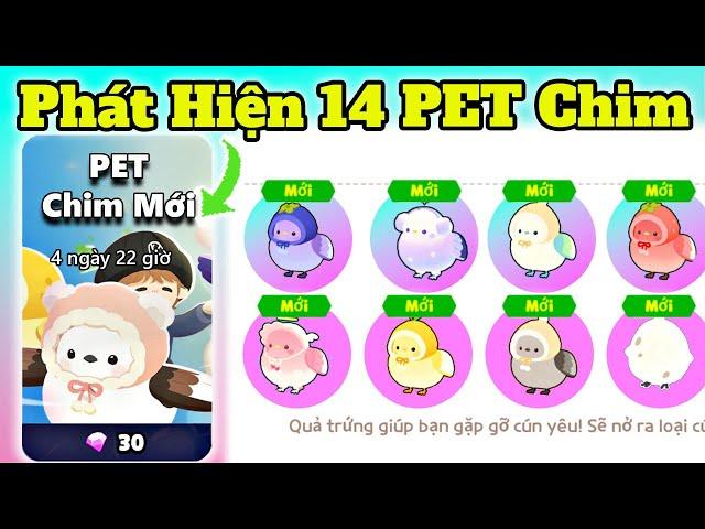 Phát Hiện 14 PET Chim Cưỡi Được | Play Together