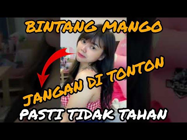 Bintang Mango Live/Kuda Poni