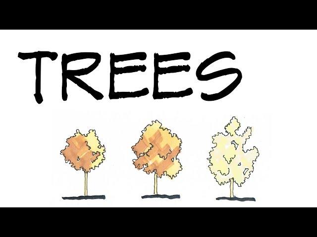 Simple Trees 2  - Architecture Daily Sketches