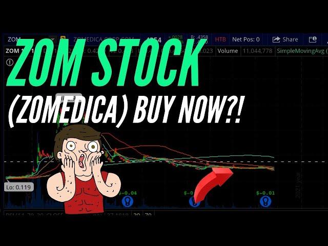 HUGE ZOM (Zomedica) Stock UPDATE & Truforma Product - Is it time to BUY?!