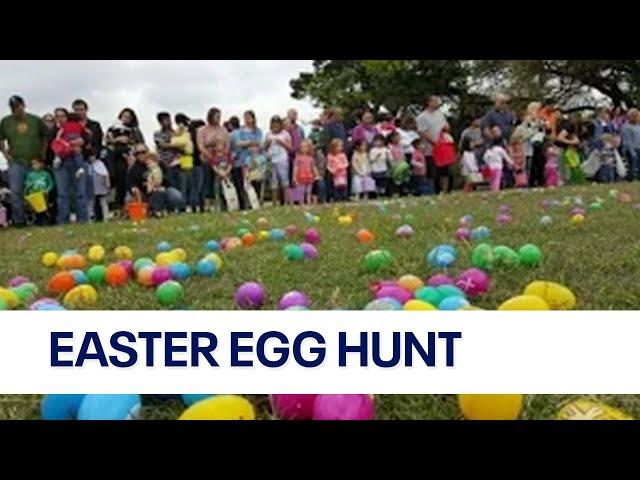 Texas sized Easter egg hunt with over 50,000 eggs | FOX 7 Austin