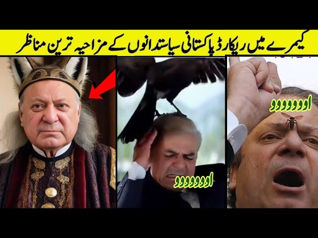 Pakistani Funny Politicians Moments part 119  | kuch bee