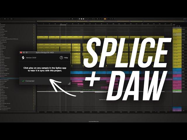 Splice now has DAW integration?!