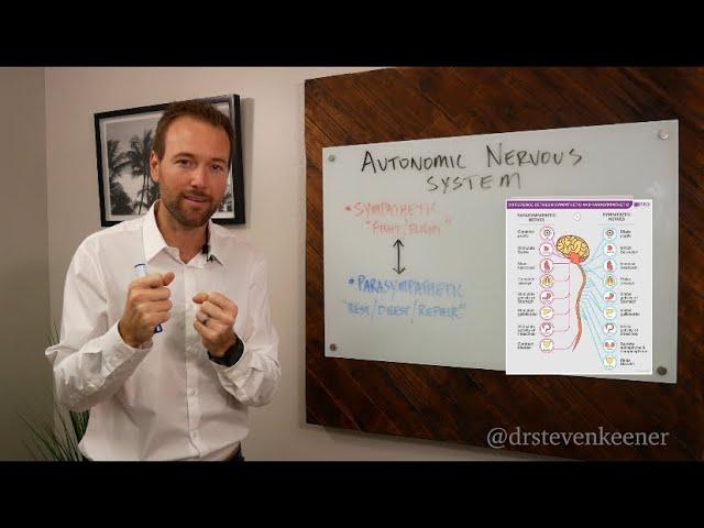 “Fight or Flight” vs “Rest and Digest” | The Autonomic Nervous System | Dr. K’s Sunday Special