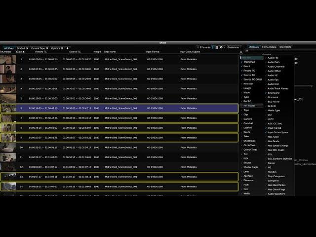 Learning Baselight Look #7 - How To Organize Media Using the Shots View In Baselight Look