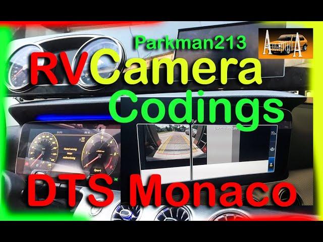 W213 Mercedes *FIX* Rearviewcamera Resolution - DTS Monaco - Parkman213