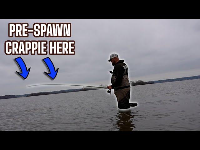 HUGE TIP WHERE TO FIND PRE-SPAWN CRAPPIE IN 2025⁉️ CRAPPIE SPAWN 2025‼️