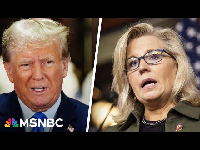 Liz Cheney PAC honors D-Day, says Trump driven by 'spite, revenge and self-pity' in new ad