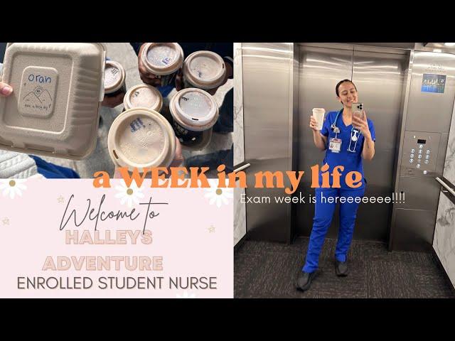 Weekly Vlog | Student Nurse Aus |  OSCAs