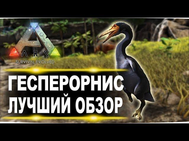 Гесперорнис Hesperornis в АРК  Лучший обзор приручение, разведение и способности  в ark