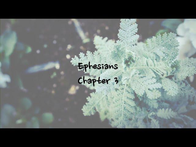 Ephesians 3 - NIV | AUDIO BIBLE & TEXT [With Piano]