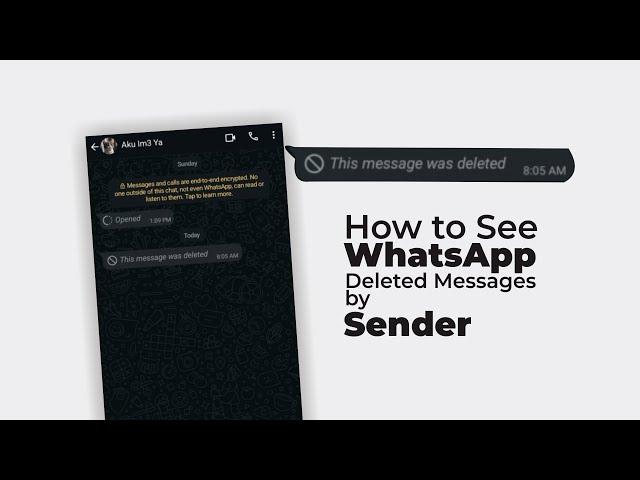 How to See WhatsApp Deleted Messages by Sender Without Any App!